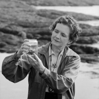 Episode 037 - Rachel Carson | Marine Biologist  Environmentalist