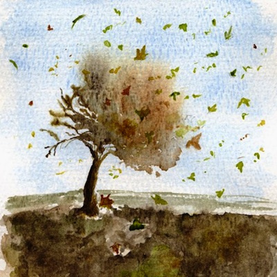 Anninnora, Poesie Di Giulio Angioni