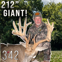 The Quest for a GIANT 212 Illinois Whitetail!