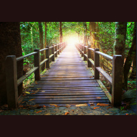 “Exhort One Another Daily” by Sis. Katherine Cogar from Campmeeting 1960