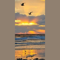 “Habakkuk: All Things Work Together for Good” – Bro. Jay Williams - Leesburg Feast Meeting 2018 