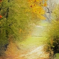 07.10.22 - Geocaching im Herbst