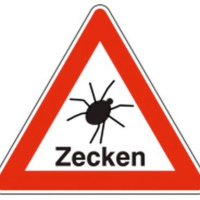 15.06.23 - Krankheit frühzeitig erkennen