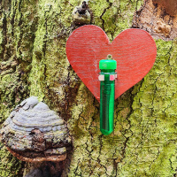 14.02.23 - Love is in the air