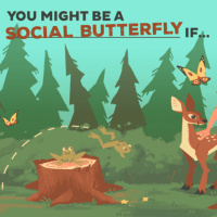 24.10.18 - Social Butterfly