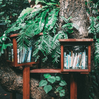 03.11.22 - Caches mit Story erstellen