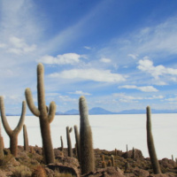 16.11.18 - Salzwüste