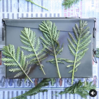 13.04.22 - HCue und Visitorcenter 