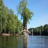 03.08.18 - Treasure Island