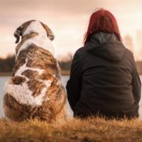 02.11.22 - Geocachen mit Hund