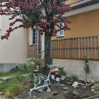 Geocaching In 100 Sekunden