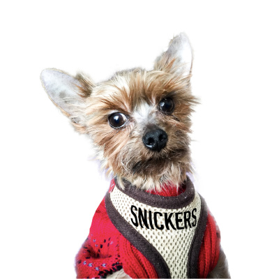 David Todd Miller Podcast