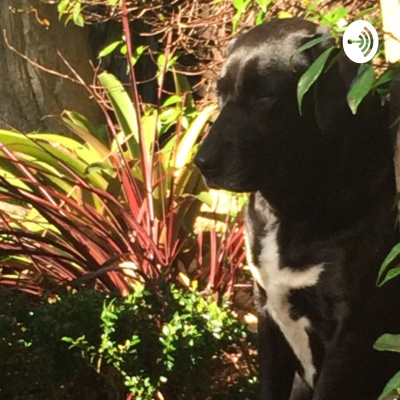 Abi Mindfulness Group