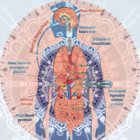 Carmela Danna, Yoga Instructor and Reiki Master on Using Yoga, Meditation,  Reiki to Relieve Stress  Anxiety 