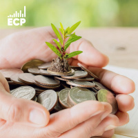 Cómo atrapar oportunidades