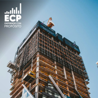 Las bases del proyecto 