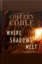 Where Shadows Meet: A Romantic Suspense Novel