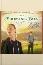 The Promise Box