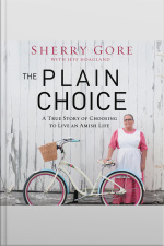 The Plain Choice: A True Story Of Choosing To Live An Amish Life