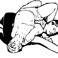 Never Enough Wrestling: Is There Too Much Wrestling