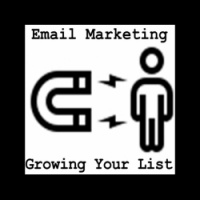 3rd30 072:MAKING MONEY ONLINE - Growing a PROFITABLE Email List Chapter Two