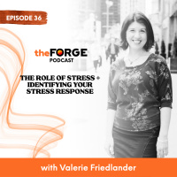 36 | The role of stress + identifying your stress response (ft. Valerie Friedlander)