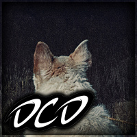 Episode 74: WWE, It Comes at Night (2017), Andys Grab Bag of Topics and more!