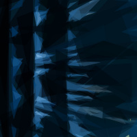 Dont Trust The Network