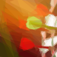 Retargeting In Online Politics