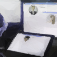 Secret App Telemetry