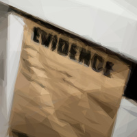 Evidence, Accusations, and Motivation