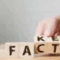 Facebook  The Value of Privacy