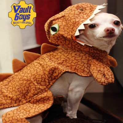 Vault Boys Wv: A Fallout 76 Podcast