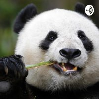 23. Season 2 Episode 13 - Perspires 2019 Year End Show