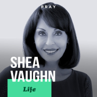Shea Vaughn - Life - “Life’s Realities”