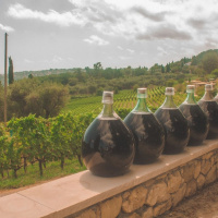 Jan 16 2022 Knox UC -Water Into Wine - and Lots of It