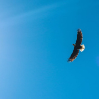 You Will Be My People, and I Shall Be Your God