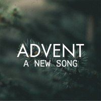 Advent 3: A New Song of Joy