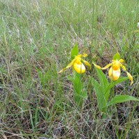 Jun19 2022 Knox UC Sermon- Salute to United Church Women