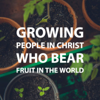 Growing people in Christ who bear fruit in the world