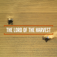 The Lord of the Harvest