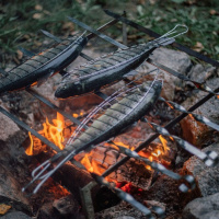 May 15 2022 Knox United Church Lanigan Sermon- 3 Denials 3 Professionss