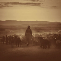 Nov 13 2022 Knox UC Sermon Images of Christ- Shepherd