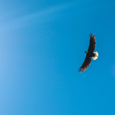 Knox United Church. Nokomis United Church.
