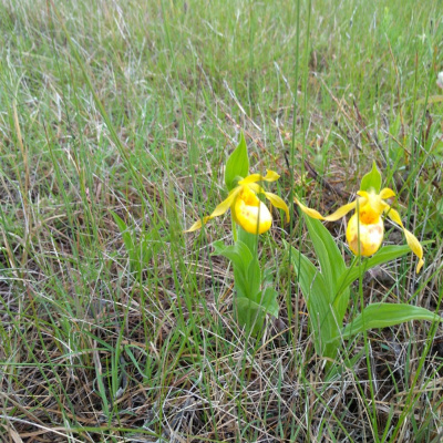Knox United Church. Nokomis United Church.