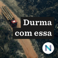 A carta de investidores contra o desmatamento no Brasil | 23.jun.20