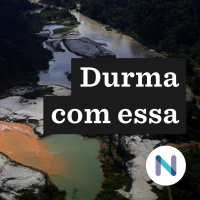 Por que a crise na terra indígena Yanomami ainda persiste