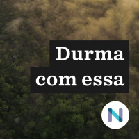 Dia do Meio Ambiente: as contradições e desafios do Brasil