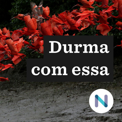 Durma Com Essa | Nexo Jornal