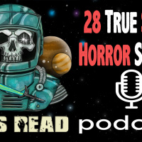 42: Episode 040 | UFO Sighting  Scary Zoo Stories | 28 True Scary Horror Stories